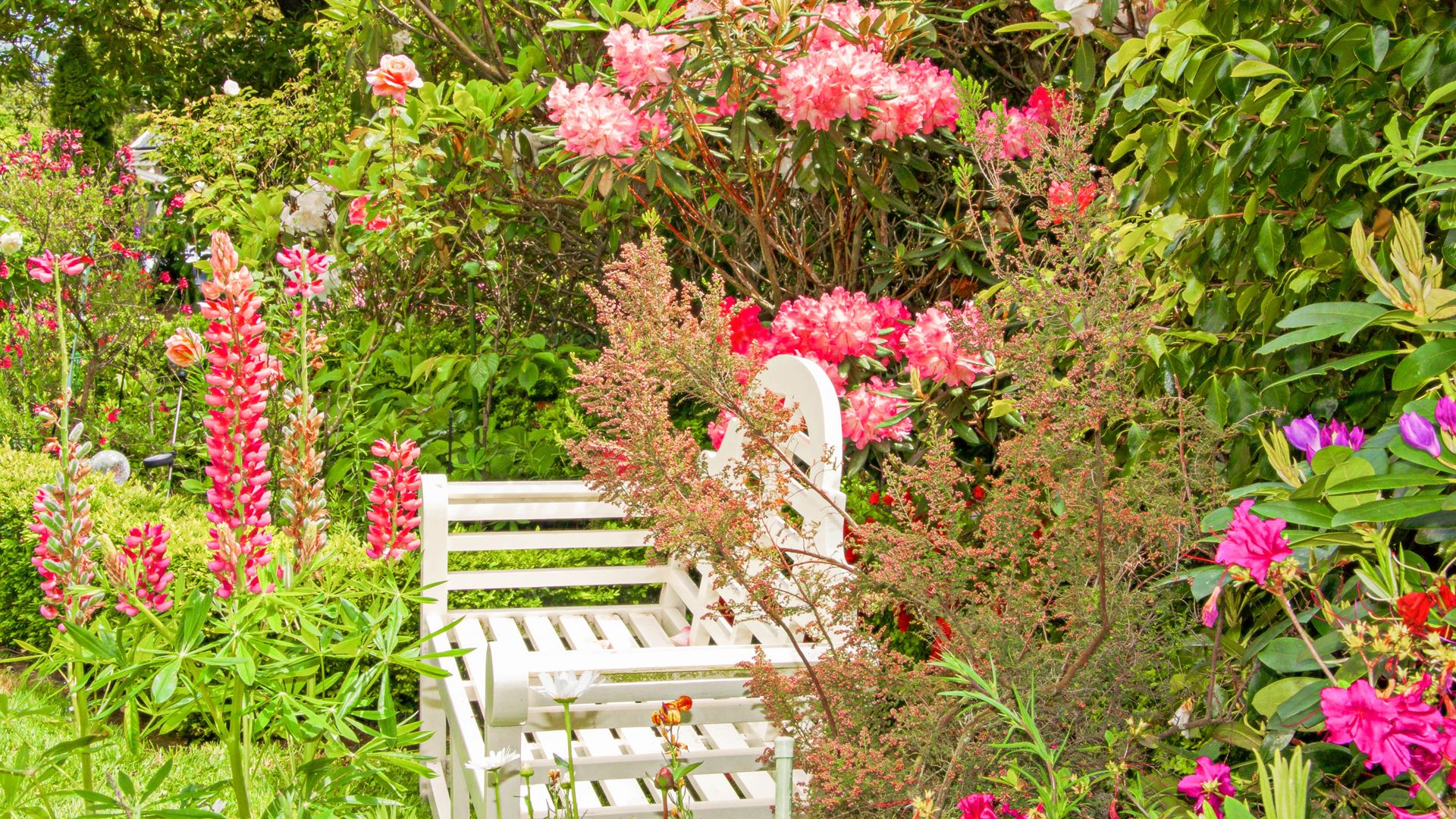 garden seat, a place to enjoy the flowers or read a book