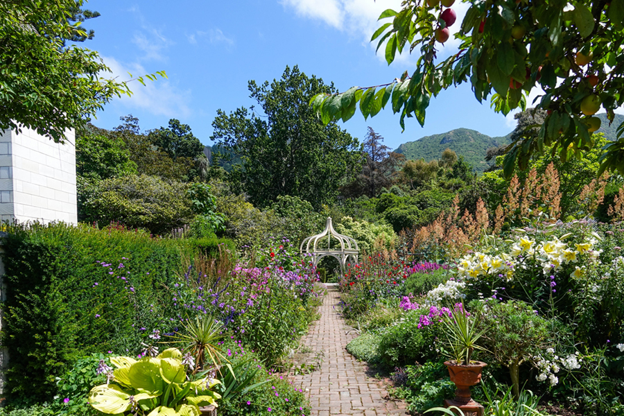 The hebacious border and Tea House at Ohinetahi