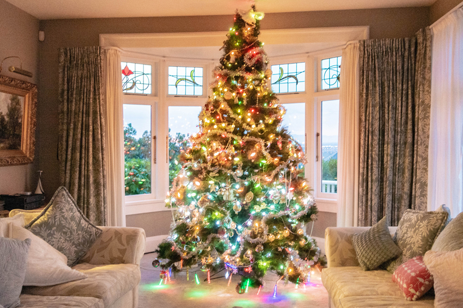 Our Christmas tree at Dyers House in Christchurch